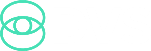 Data Vision Services
